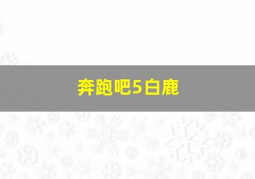 奔跑吧5白鹿