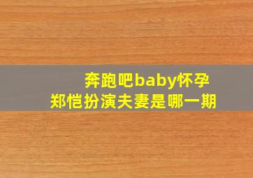 奔跑吧baby怀孕郑恺扮演夫妻是哪一期