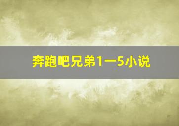 奔跑吧兄弟1一5小说