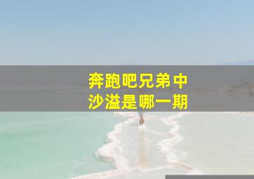 奔跑吧兄弟中沙溢是哪一期