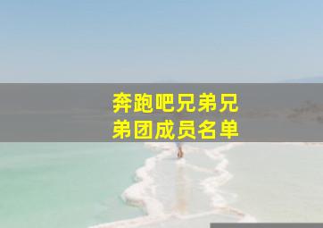 奔跑吧兄弟兄弟团成员名单