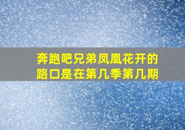 奔跑吧兄弟凤凰花开的路口是在第几季第几期