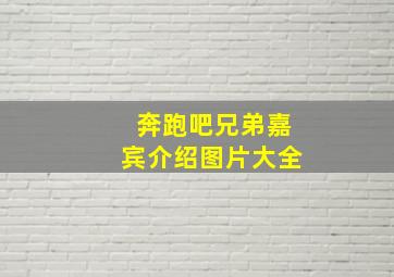 奔跑吧兄弟嘉宾介绍图片大全