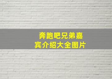 奔跑吧兄弟嘉宾介绍大全图片