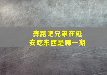 奔跑吧兄弟在延安吃东西是哪一期