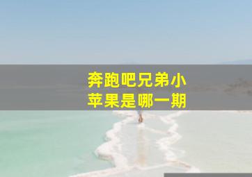 奔跑吧兄弟小苹果是哪一期