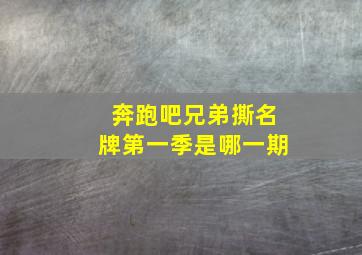 奔跑吧兄弟撕名牌第一季是哪一期