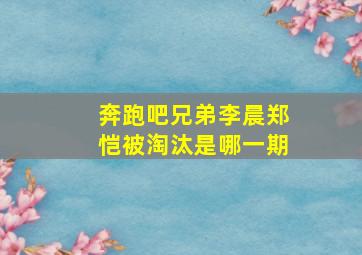 奔跑吧兄弟李晨郑恺被淘汰是哪一期