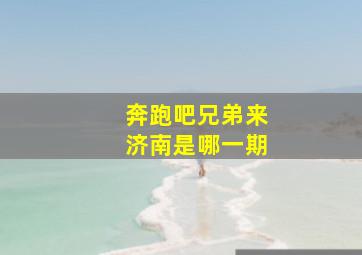 奔跑吧兄弟来济南是哪一期