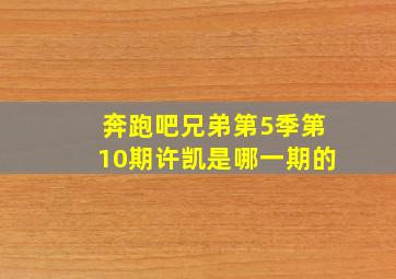 奔跑吧兄弟第5季第10期许凯是哪一期的