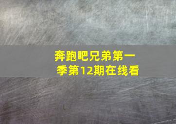 奔跑吧兄弟第一季第12期在线看