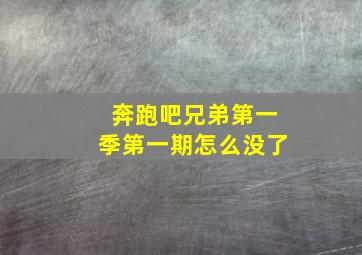 奔跑吧兄弟第一季第一期怎么没了