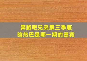 奔跑吧兄弟第三季鹿晗热巴是哪一期的嘉宾