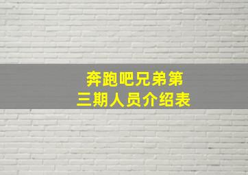 奔跑吧兄弟第三期人员介绍表