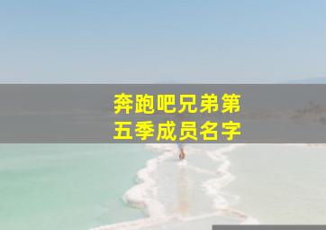 奔跑吧兄弟第五季成员名字