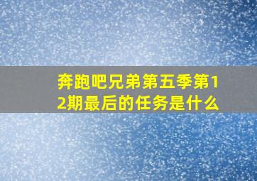 奔跑吧兄弟第五季第12期最后的任务是什么