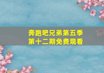 奔跑吧兄弟第五季第十二期免费观看