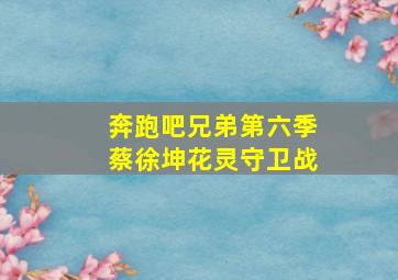 奔跑吧兄弟第六季蔡徐坤花灵守卫战