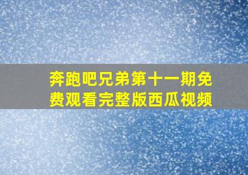 奔跑吧兄弟第十一期免费观看完整版西瓜视频