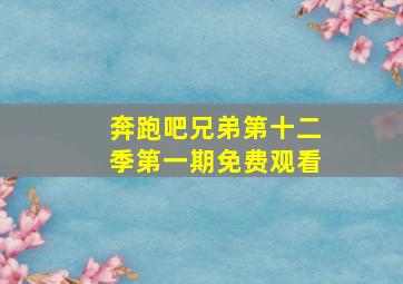 奔跑吧兄弟第十二季第一期免费观看