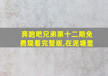 奔跑吧兄弟第十二期免费观看完整版,在泥塘里