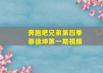 奔跑吧兄弟第四季蔡徐坤第一期视频