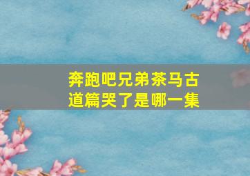 奔跑吧兄弟茶马古道篇哭了是哪一集