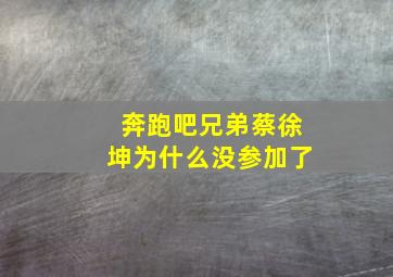 奔跑吧兄弟蔡徐坤为什么没参加了