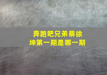 奔跑吧兄弟蔡徐坤第一期是哪一期