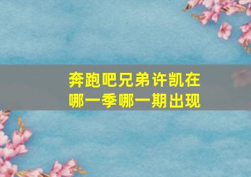 奔跑吧兄弟许凯在哪一季哪一期出现