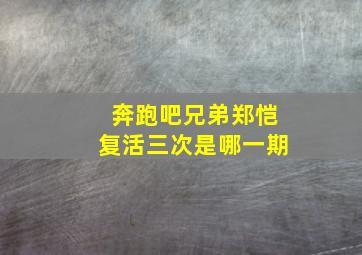 奔跑吧兄弟郑恺复活三次是哪一期