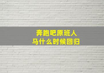 奔跑吧原班人马什么时候回归