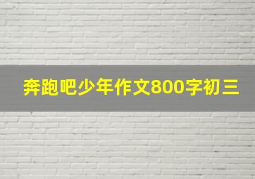 奔跑吧少年作文800字初三