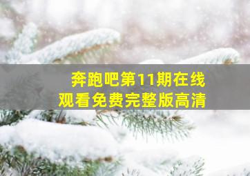 奔跑吧第11期在线观看免费完整版高清