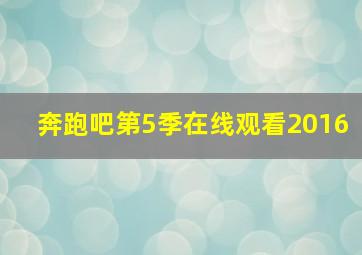 奔跑吧第5季在线观看2016