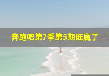 奔跑吧第7季第5期谁赢了