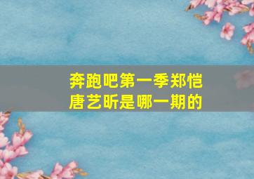 奔跑吧第一季郑恺唐艺昕是哪一期的