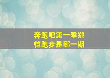 奔跑吧第一季郑恺跑步是哪一期