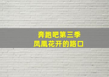 奔跑吧第三季凤凰花开的路口