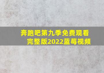 奔跑吧第九季免费观看完整版2022蓝莓视频