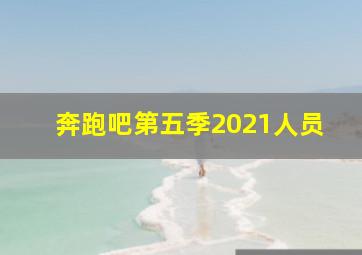 奔跑吧第五季2021人员