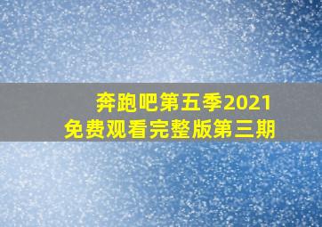 奔跑吧第五季2021免费观看完整版第三期