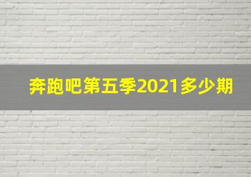 奔跑吧第五季2021多少期