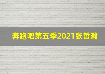 奔跑吧第五季2021张哲瀚