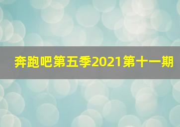 奔跑吧第五季2021第十一期