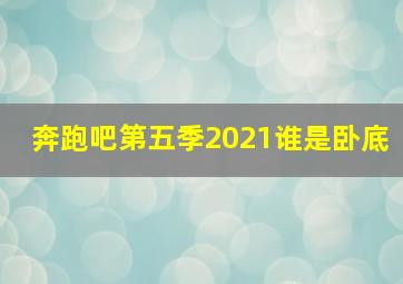 奔跑吧第五季2021谁是卧底