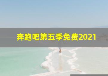 奔跑吧第五季免费2021