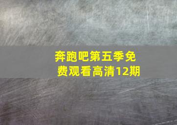 奔跑吧第五季免费观看高清12期