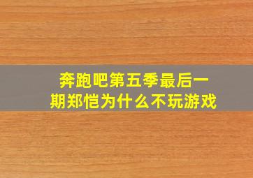 奔跑吧第五季最后一期郑恺为什么不玩游戏