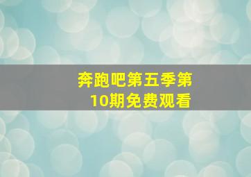 奔跑吧第五季第10期免费观看